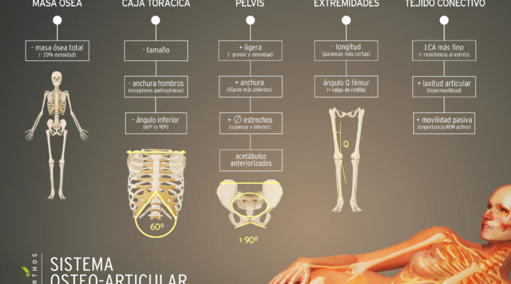 sistema-osteo-articular-mujer